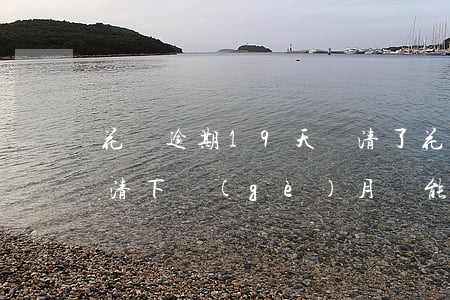 花唄逾期19天還清了 花唄逾期10天后還清,下個(gè)月還能分期還款嗎