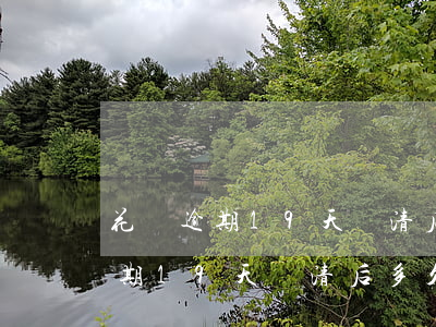 花唄逾期19天還清后多久可以用-花唄逾期19天還清后多久可以用啊
