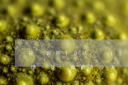 花唄逾期19天還進(jìn)去怎么還能用-花唄逾期19天還進(jìn)去怎么還能用呢