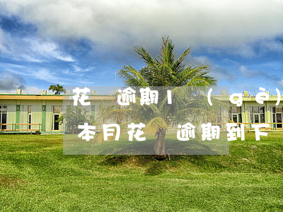 花唄逾期1個(gè)月下個(gè)月還(本月花唄逾期到下個(gè)月這個(gè)月花唄還能用嗎)