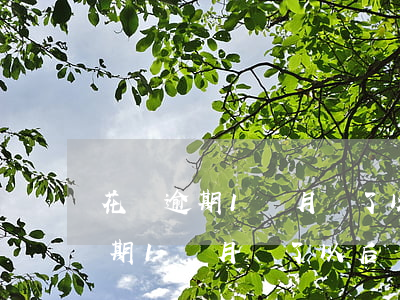 花唄逾期1個月還了以后還能用嗎-花唄逾期1個月還了以后還能用嗎怎么辦
