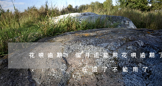 花唄逾期1個月還能用(花唄逾期了幾天,現(xiàn)在還了,不能用了)