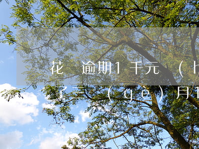 花唄逾期1千元會(huì)怎樣(花唄逾期了三個(gè)月1000塊錢還了沒事吧)