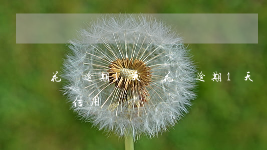 花唄 逾期1天-花唄逾期1天還了之后會影響信用嗎