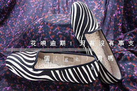 花唄逾期1天有沒有事(支付寶花唄可以逾期1個(gè)月嗎)