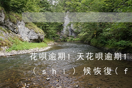 花唄逾期1 天(花唄逾期1天不能用了什么時(shí)候恢復(fù)可以用)