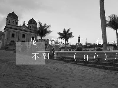 花唄逾期1天還有費(fèi)用(花唄逾期不到1個(gè)月什么時(shí)候恢復(fù)可以用)