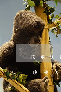 花唄逾期1天還款會(huì)怎樣(花唄還晚幾天逾期了咋辦 但是錢還了)