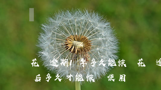 花唄逾期1年多久能恢復(花唄逾期兩年還清后多久才能恢復使用)