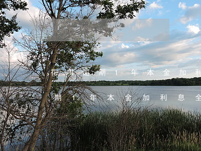 花唄逾期1年本金加利息全部還清-花唄逾期1年本金加利息全部還清可以嗎