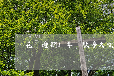 花唄逾期1年還款多久恢復(fù)正常-