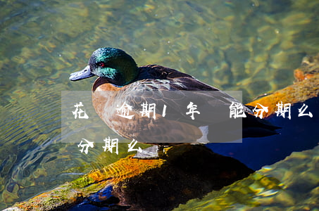 花唄逾期1年還能分期么(花唄逾期1年還能分期么)