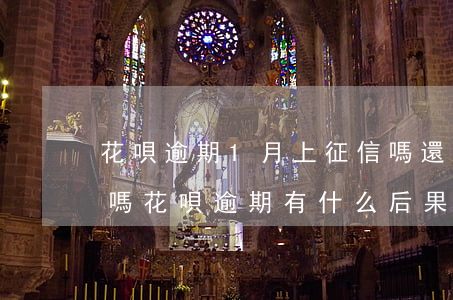 花唄逾期1月上征信嗎(還唄逾期1天上征信嗎?花唄逾期有什么后果)
