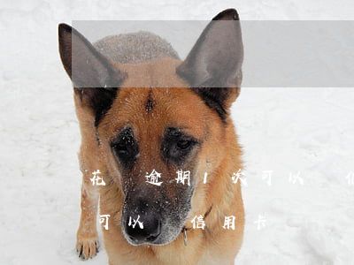 花唄逾期1次可以辦信用卡嗎(花唄逾期1次可以辦信用卡嗎)