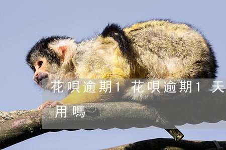 花唄逾期1，花唄逾期1天還了之后會影響信用嗎