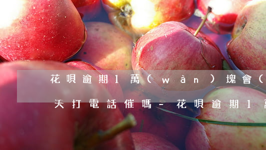 花唄逾期1萬(wàn)塊會(huì)天天打電話催嗎-花唄逾期1萬(wàn)塊會(huì)天天打電話催嗎是真的嗎