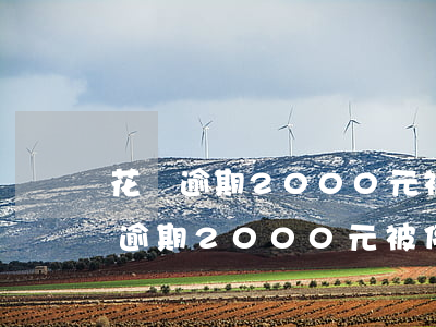 花唄逾期2000元被停用該怎么辦-花唄逾期2000元被停用該怎么辦呢