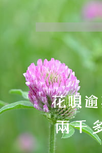 花唄逾期2000報(bào)案(花唄逾期兩千多,逾期兩個(gè)多月說走正常程序,上門調(diào)查)
