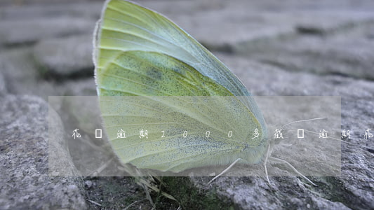 花唄逾期2000多截圖(逾期花唄的圖片)