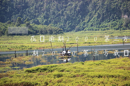 花唄逾期2000第三方威脅上門-花唄逾期2000第三方威脅上門是真的嗎