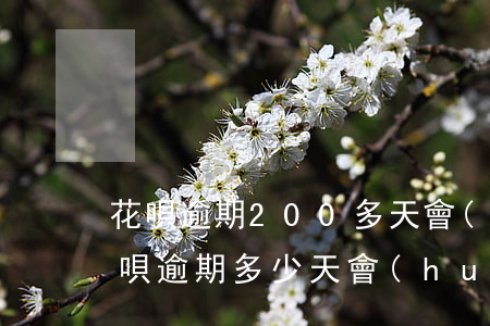 花唄逾期200多天會(huì)起訴嗎(花唄逾期多少天會(huì)起訴 我已經(jīng)還了2000多)