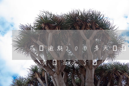 花唄逾期200多天沒還(花唄逾期5000元有兩百天了現(xiàn)在要還多少)