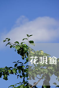 花唄逾期200天會(huì)唄起訴嗎