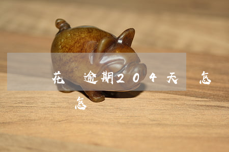 花唄逾期204天會怎樣(花唄逾期204天會怎樣)
