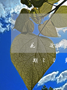 花唄逾期20多天還清了還能用嗎-花唄逾期20多天還清了還能用嗎怎么辦