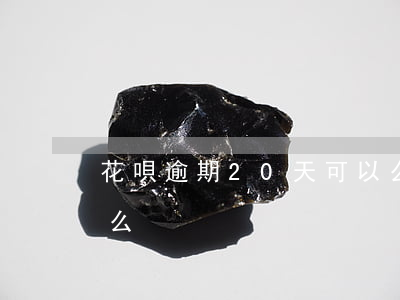 花唄逾期20天可以么(花唄逾期20天可以么)
