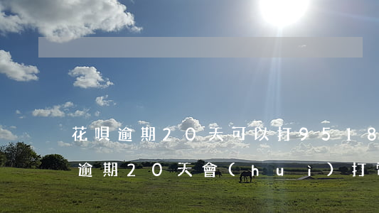 花唄逾期20天可以打95188嗎-花唄逾期20天會(huì)打電話(huà)嗎