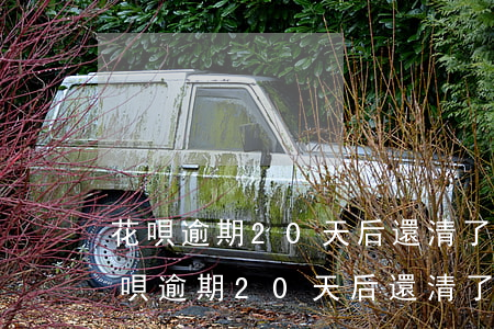 花唄逾期20天后還清了會影響征信嗎-花唄逾期20天后還清了會影響征信嗎怎么辦