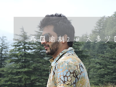 花唄逾期20天多少錢