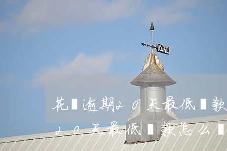 花唄逾期20天最低還款怎么辦-花唄逾期20天最低還款怎么辦理