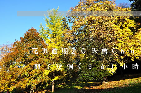 花唄逾期20天會(huì)怎么樣(花唄逾期了幾個(gè)小時(shí)會(huì)有不良后果嗎)