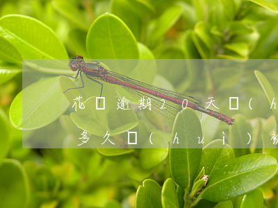 花唄逾期20天會(huì)起訴(花唄逾期多久會(huì)被起訴?花唄逾期多久會(huì)打電話(huà))