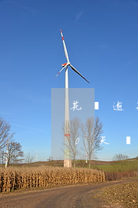 花唄逾期20天的后果(花唄不還或者逾期10天會怎么樣)