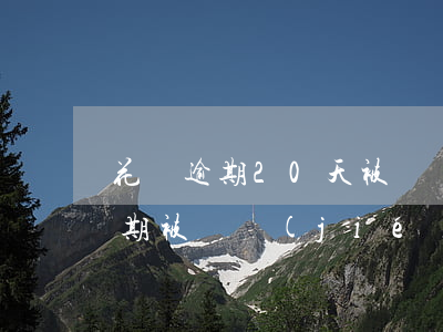 花唄逾期20天被凍結(jié)了(花唄逾期被凍結(jié),還清后多久可以使用)