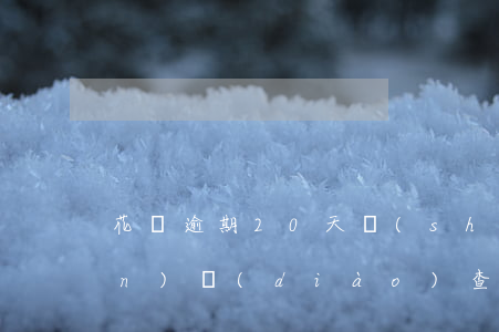 花唄逾期20天說(shuō)上門(mén)調(diào)查是真的嗎-花唄逾期20天說(shuō)上門(mén)調(diào)查是真的嗎嗎