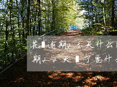 花唄逾期23天什么時候才能開通-花唄逾期22天還了要什么時候才能恢復(fù)繼續(xù)使用