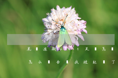 花唄逾期243天會怎樣(花唄逾期75天會怎么樣告訴我被起訴了)