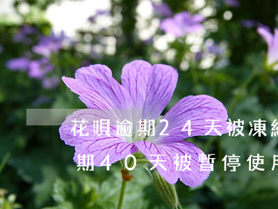 花唄逾期24天被凍結(jié)了(花唄逾期40天被暫停使用要多久才能恢復(fù))