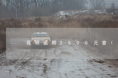 花唄逾期2500元會(huì)被起訴嗎