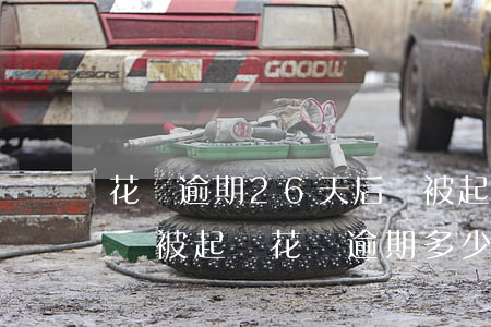 花唄逾期26天后會被起訴嗎(花唄逾期多久會被起訴?花唄逾期多少錢會被起訴怎么辦)