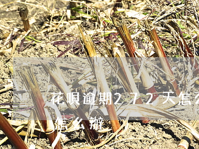 花唄逾期272天怎么辦(花唄逾期272天怎么辦)
