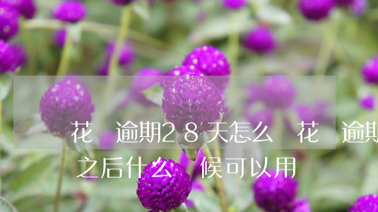 花唄逾期28天怎么辦(花唄逾期28天還款之后什么時候可以用)