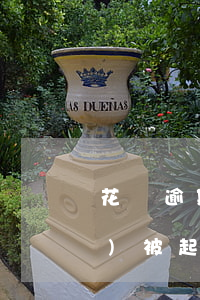 花唄逾期28天會(huì)不會(huì)被起訴(花唄多少逾期會(huì)被起訴?花唄逾期被起訴怎么辦)
