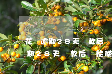 花唄逾期28天還款后還能使用嗎-花唄逾期28天還款后還能使用嗎怎么辦