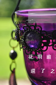 花唄逾期29天全額還款(花唄逾期29天了還了之后多長(zhǎng)時(shí)間恢復(fù))