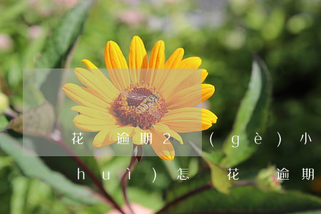 花唄逾期2個(gè)小時(shí)會(huì)怎樣(花唄逾期兩天會(huì)有什么后果?,有獎(jiǎng)問(wèn)答)